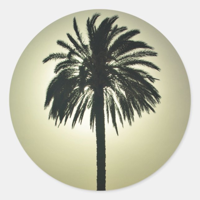 Adesivo Sunny Palm (Frente)