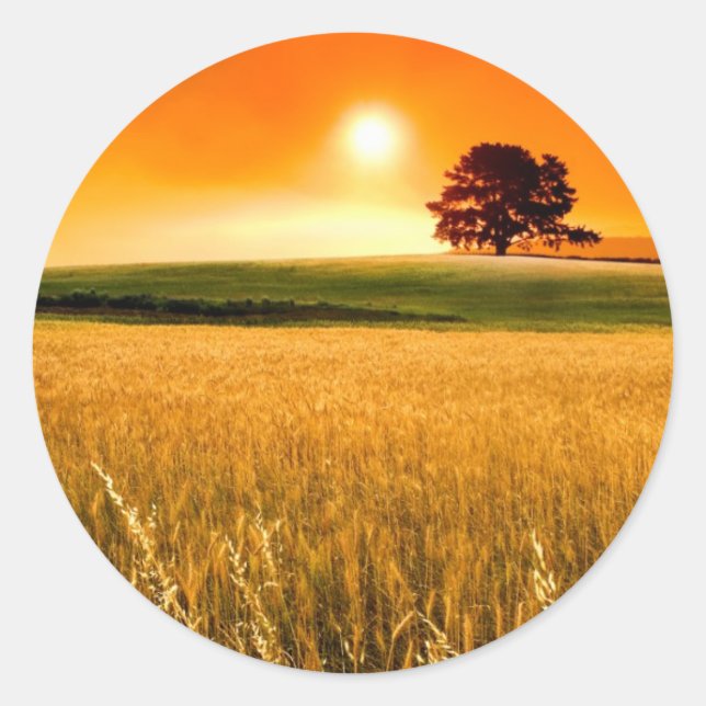 Adesivo Sunset Vermelho Sanguíneo (Frente)