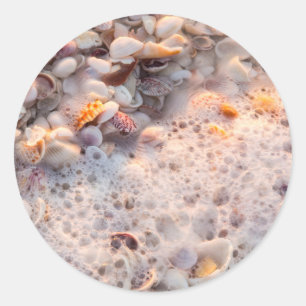 Adesivo Surf E Conchas De Selo Na Ilha Sanibel