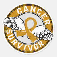 Survivor 14 - Cancer Apêndice