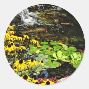 Adesivo Susanos De Olhos Negros Por Koi Pond