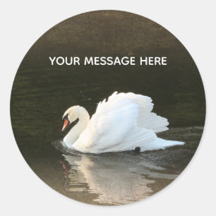 Adesivo Swan Classic Round Sticker