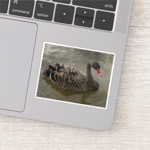 Adesivo Swan Negro