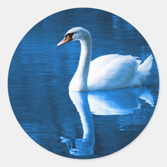 Adesivo Swan Sticker (Frente)