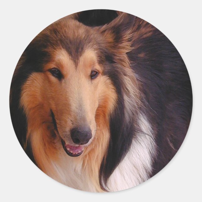 Adesivo Sweet Collie (Frente)