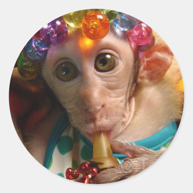 Adesivo Sweet Meiki (Frente)