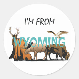 Adesivo T eu sou de Wyoming