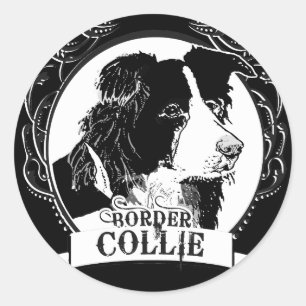 Adesivo T-shirt de border collie