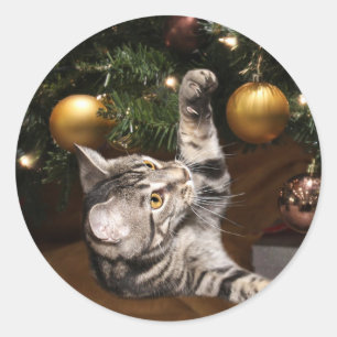 Adesivo Tabby cat e árvore de Natal