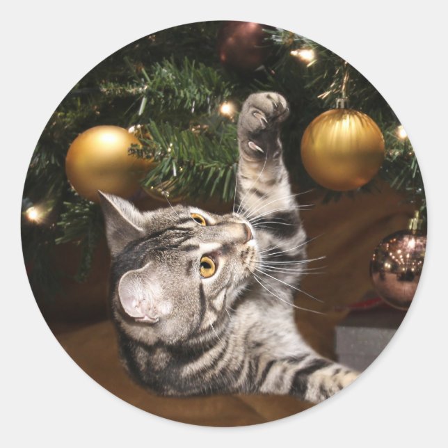 Adesivo Tabby cat e árvore de Natal (Frente)