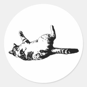 Adesivo Tabby de Linha Nítida