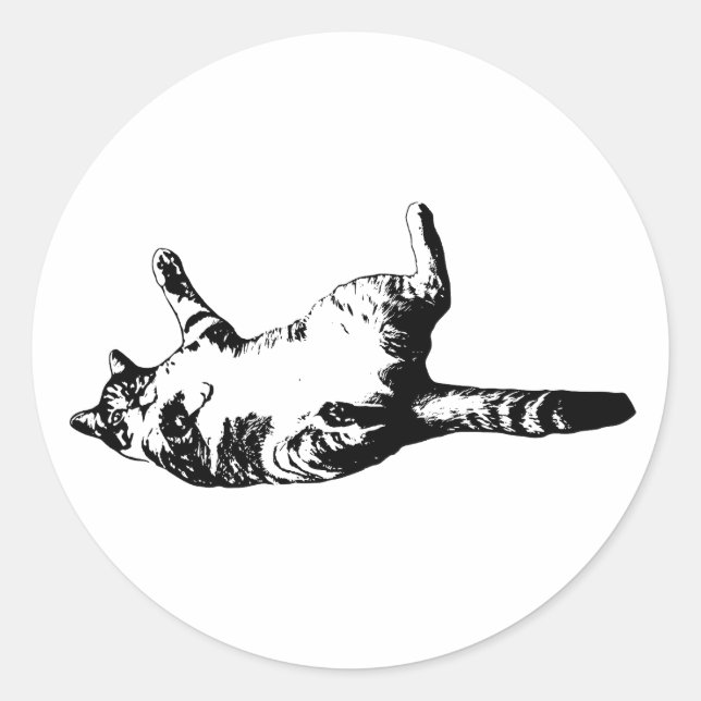 Adesivo Tabby de Linha Nítida (Frente)
