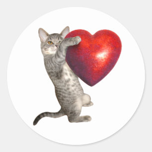Adesivo Tabby Kitten com Vinheta de Coração Vermelho Grand