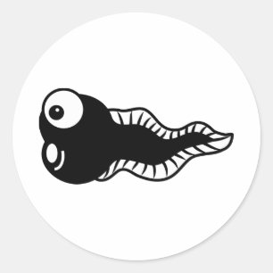 Adesivo Tadpole