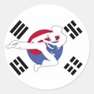 Adesivo Tae Kwon Do Flyer Stickers