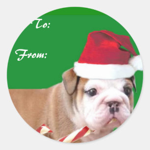 Adesivo Tag do presente do filhote de cachorro do buldogue