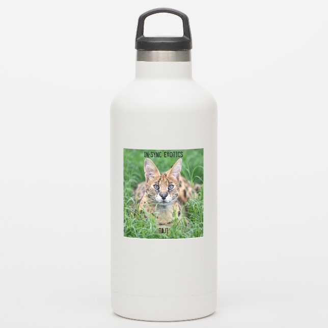 Adesivo Taji - (Garrafa d'água)