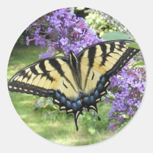 Adesivo Tampão de velocidade 94 ~