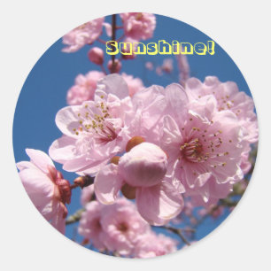 Adesivo Tampas cor-de-rosa Primavera Flor Brilhantes