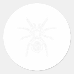 Adesivo Tarantula Huge Spider Phobia Halloween Costume Ara