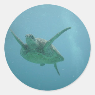 Adesivo Tartaruga de mar subaquática