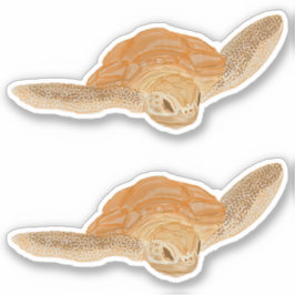 Adesivo Tartaruga marinha na água - transparente.