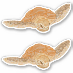 Adesivo Tartaruga marinha na água - transparente.