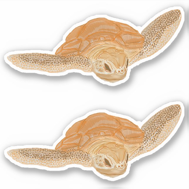 Adesivo Tartaruga marinha na água - transparente. (Frente)