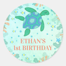 Tartaruga primeiro aniversario Sob O Partido Do Ma