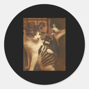 Adesivo Tatuagem Engraçada Memória De Gato Humor De Gatinh
