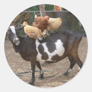 Adesivo Táxi de cabra