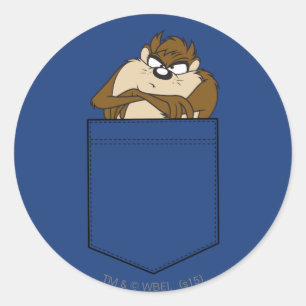 Adesivo TAZ™ em um soquete