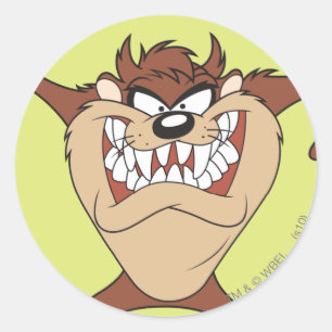 Adesivo TAZ™ posicional 15