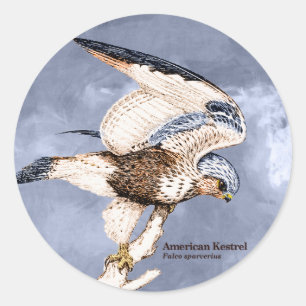 Adesivo TCWC - Ilustração americana do Kestrel