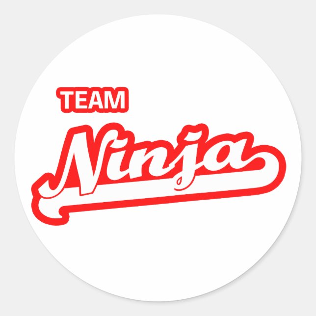 Adesivo Team Ninja (Frente)