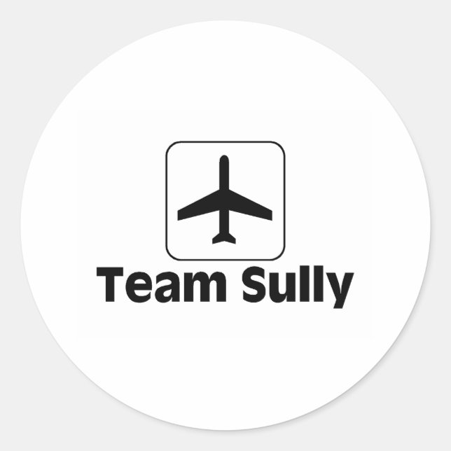 Adesivo Team Sully (Frente)
