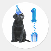 Tema Da Cãozinha primeiro aniversario - Cachorro A