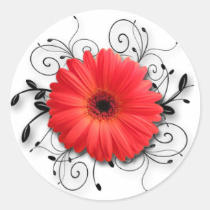 Adesivo Tema da margarida do Gerbera