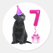 Tema Da Papoila De 7 Aniversário- Garota Rosa De C