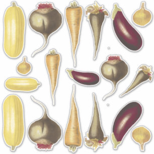 Adesivo Tema de Comida Colorida de Produtos Hortícolas Vin