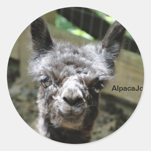 Adesivo Tempestade (Frente)