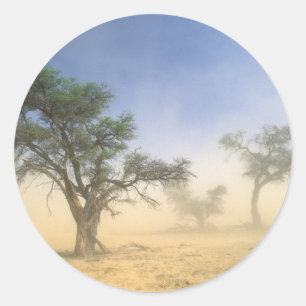 Adesivo Tempestade de areia no deserto do Kalahari, Kgalag