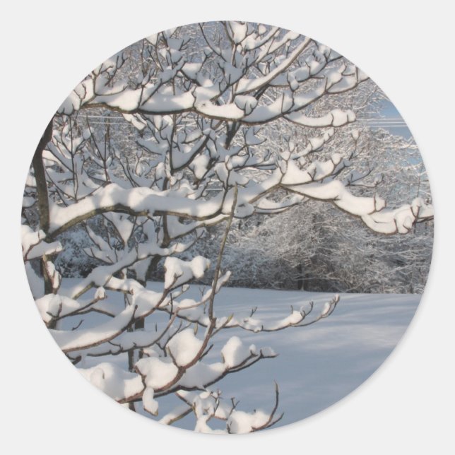 Adesivo Tempestade de inverno (Frente)