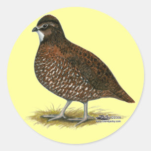 Adesivo Tennessee Red Quail