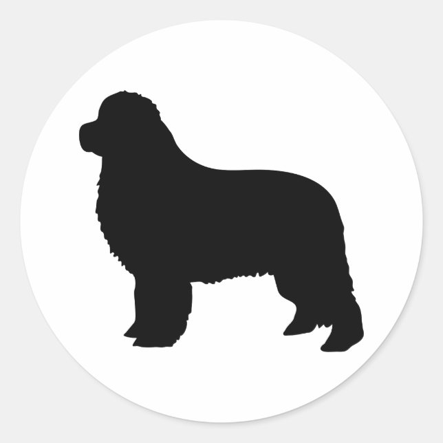 Adesivo Terra Nova (Frente)