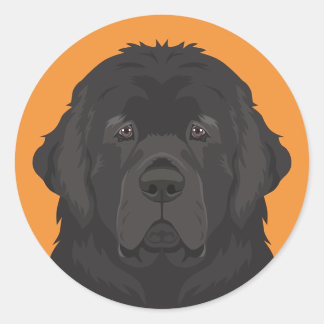 Adesivo Terra Nova (Frente)