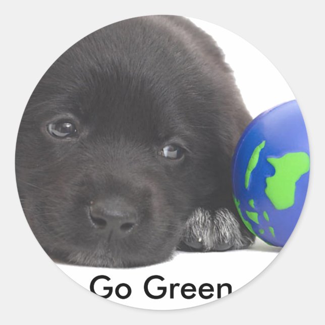 Adesivo Terra Nova - Puppy com Terra (Frente)