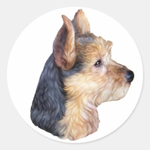 Adesivo Terrier australiano HS