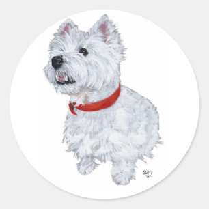 Adesivo Terrier Branco do West Highland - Olhando para Cim