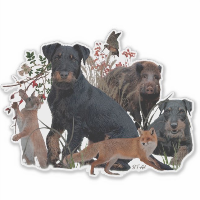 Adesivo Terrier de Caça Alemão (Jagdterrier)  (Frente)